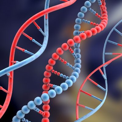 Materiais  Desenho on Que    Dna  Descubra Tudo Sobre O Dna    Cido Desoxirribonucl  Ico